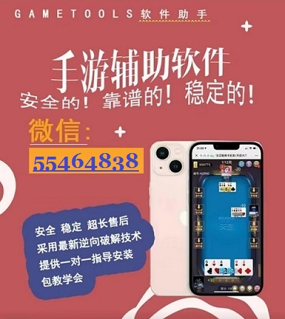 5分钟教会你“雀神广东麻将小程序辅助软件-哔哩哔哩 