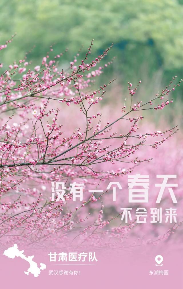 实测分享“樱花互娱拼三张怎么打能开挂包赢”(确实是有挂)-哔哩哔哩
