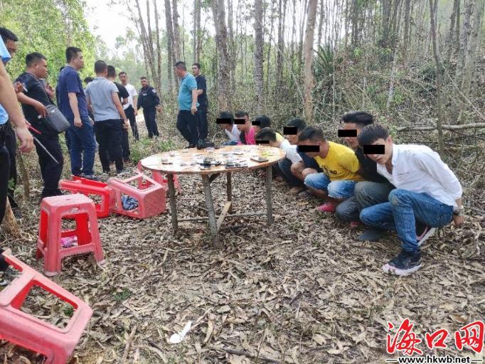 我来教大家！手机扑克牌分析器视频,推荐2个购买渠道