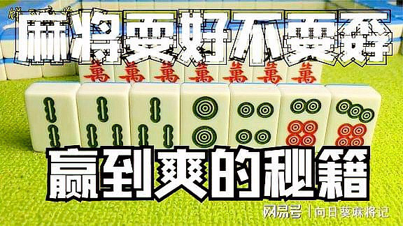 玩家必备攻略“怎样控制来一把麻将怎么才能赢钱!其实确实有挂的