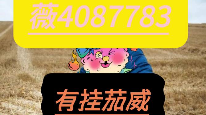 必备教程！燕赵麻将插件(怎么容易赢)