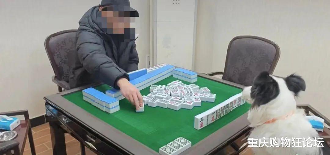 3分钟教你科普“熊猫麻将开挂怎么开”详细教程辅助工具