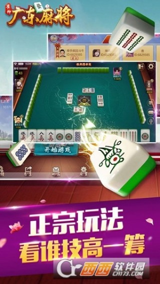 玩家必看科普！微信雀神广东麻将提高胜率技巧(怎么让牌更好)