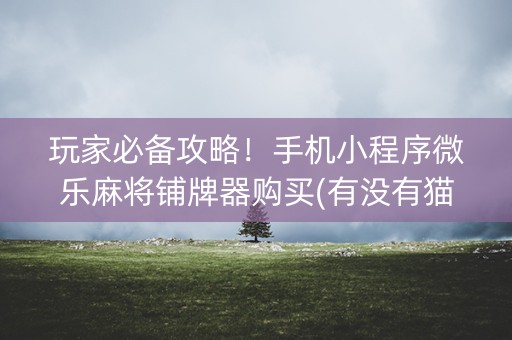 小程序微乐麻将有猫腻吗(揭秘微信里规律攻略)