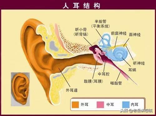 教程辅助“必看科普无线解码万能振动接收器一《我来教教你怎么赢 》