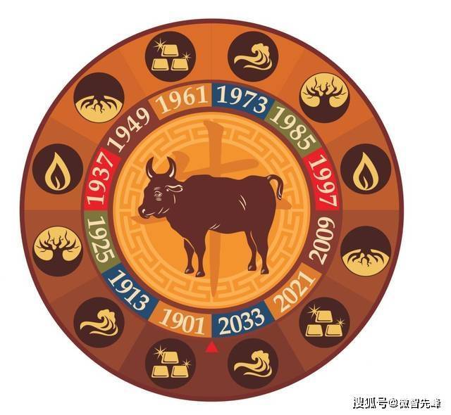 3分钟教你科普“十二生肖色子看穿仪 —详细解说+新浪科技