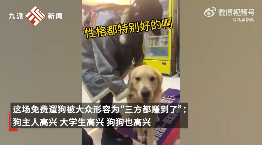 新教你‘‘实用斗牛怎么洗牌稳赢_《爱问知识人 使用说明》