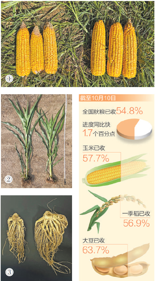 优选推荐“玉米看视分析仪一《我来教教你怎么赢 》
