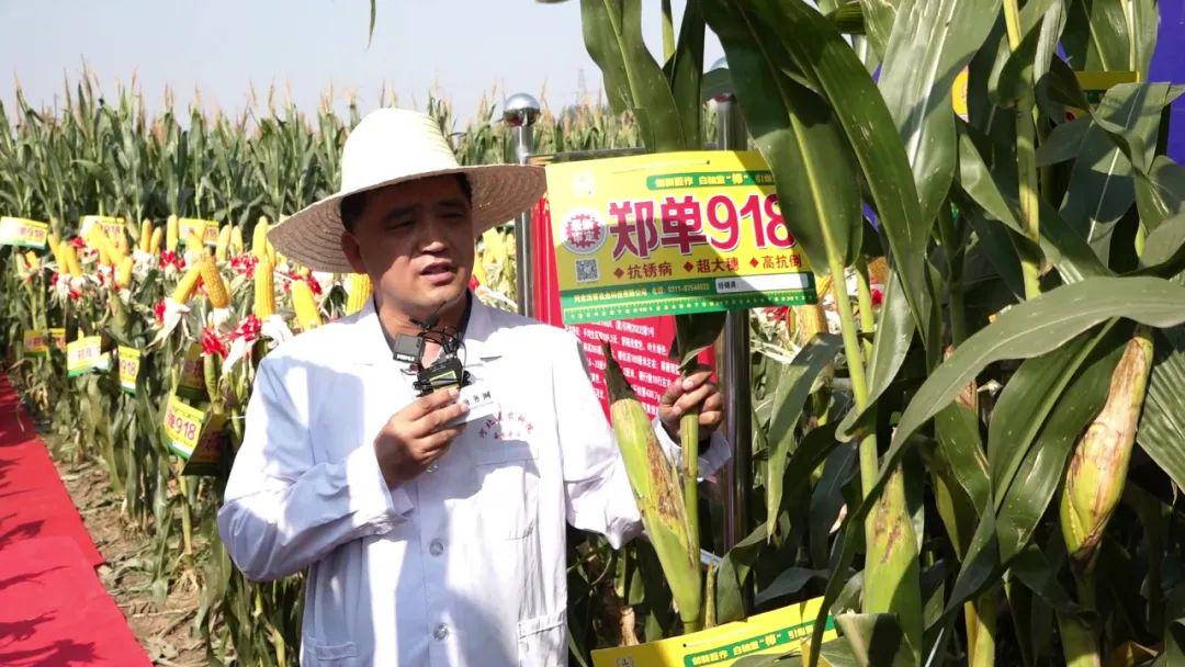 优选推荐“玉米看视分析仪一《我来教教你怎么赢 》