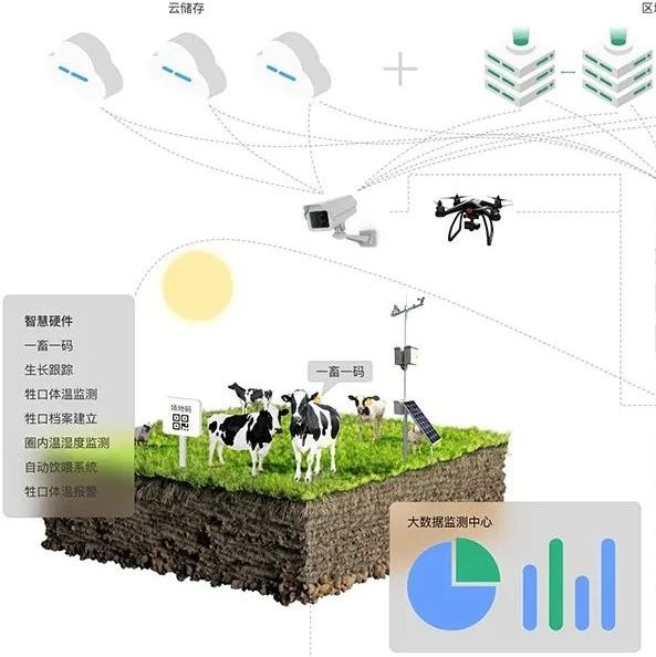 教程辅助“草花机分析器在哪里买《详细教程 新浪科技》