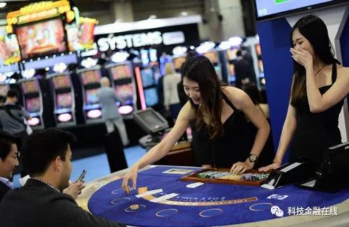 一分钟教你“玩金花能打赢技巧—详细解说+新浪科技