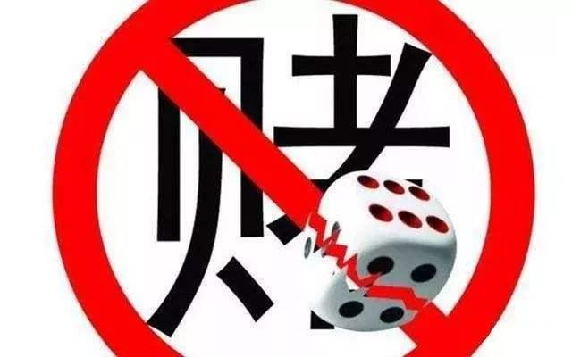 玩家必备教程硬币单双押宝提前知道仪色子提前知道工具《详细教程 新浪科技》