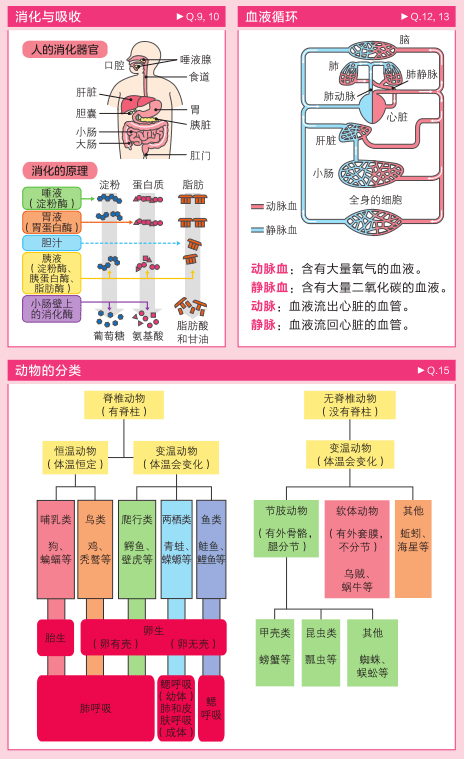 (2分钟介绍)“有那种简单牛牛做庄家洗牌技巧《详细教程 新浪科技》