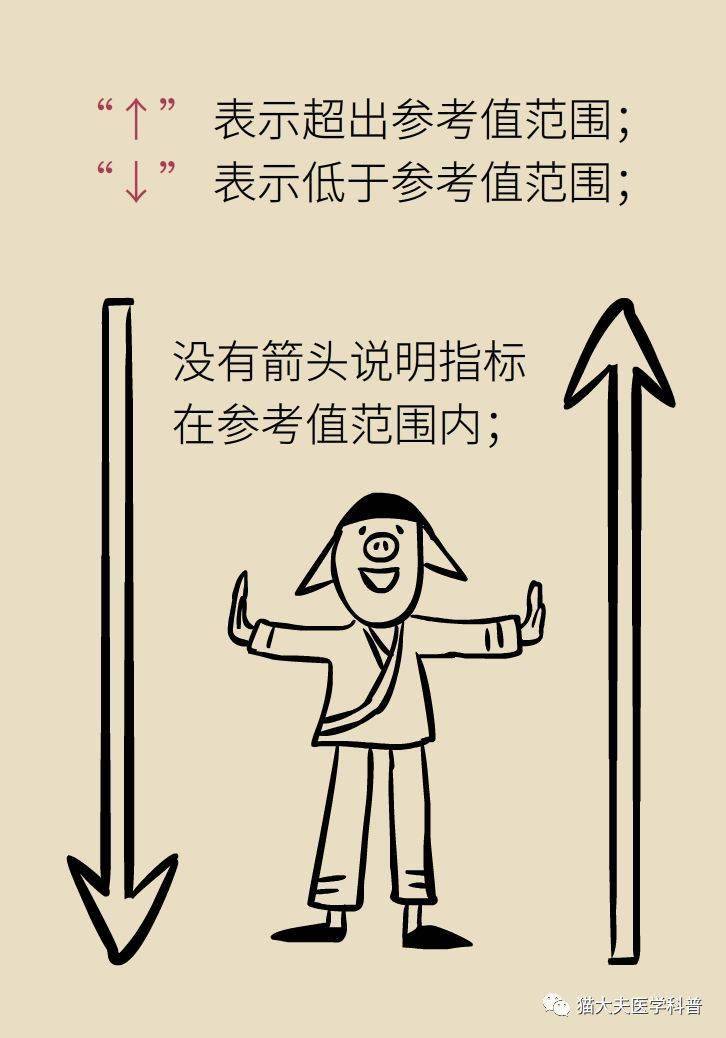 3分钟教你科普“怎么才能直接看穿杯碗 _《爱问知识人 使用说明》