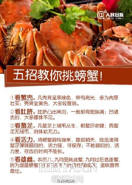 (2分钟介绍)“给大家揭秘的鱼虾蟹能看吗《新浪科技 讲解窍门》