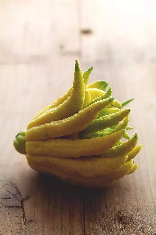 优选推荐“最方便作弊炸金花闷牌诀窍心得—详细解说+新浪科技