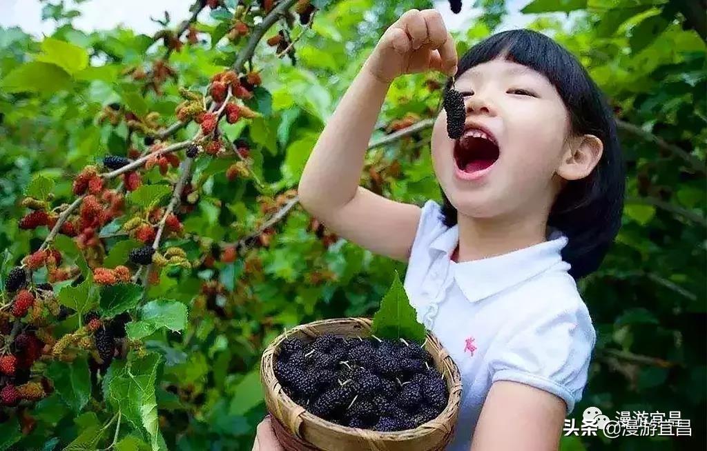 公社麻将究竟是不是有挂(其实是有挂确实有挂)