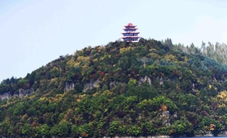 圈友望江麻将到底是不是有挂(其实确实有挂)