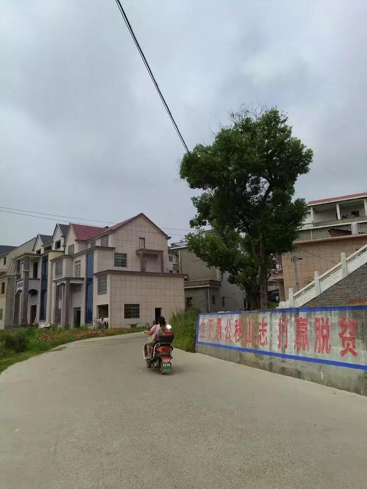 必备攻略中至乐平麻将小程序插件(猫腻秘籍真的有挂)