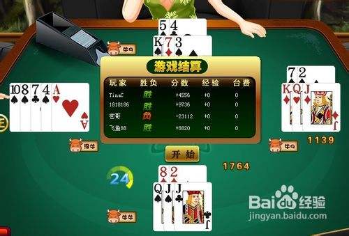 教程辅助“玩斗牛技巧怎样简单出老千方法_《爱问知识人 使用说明》