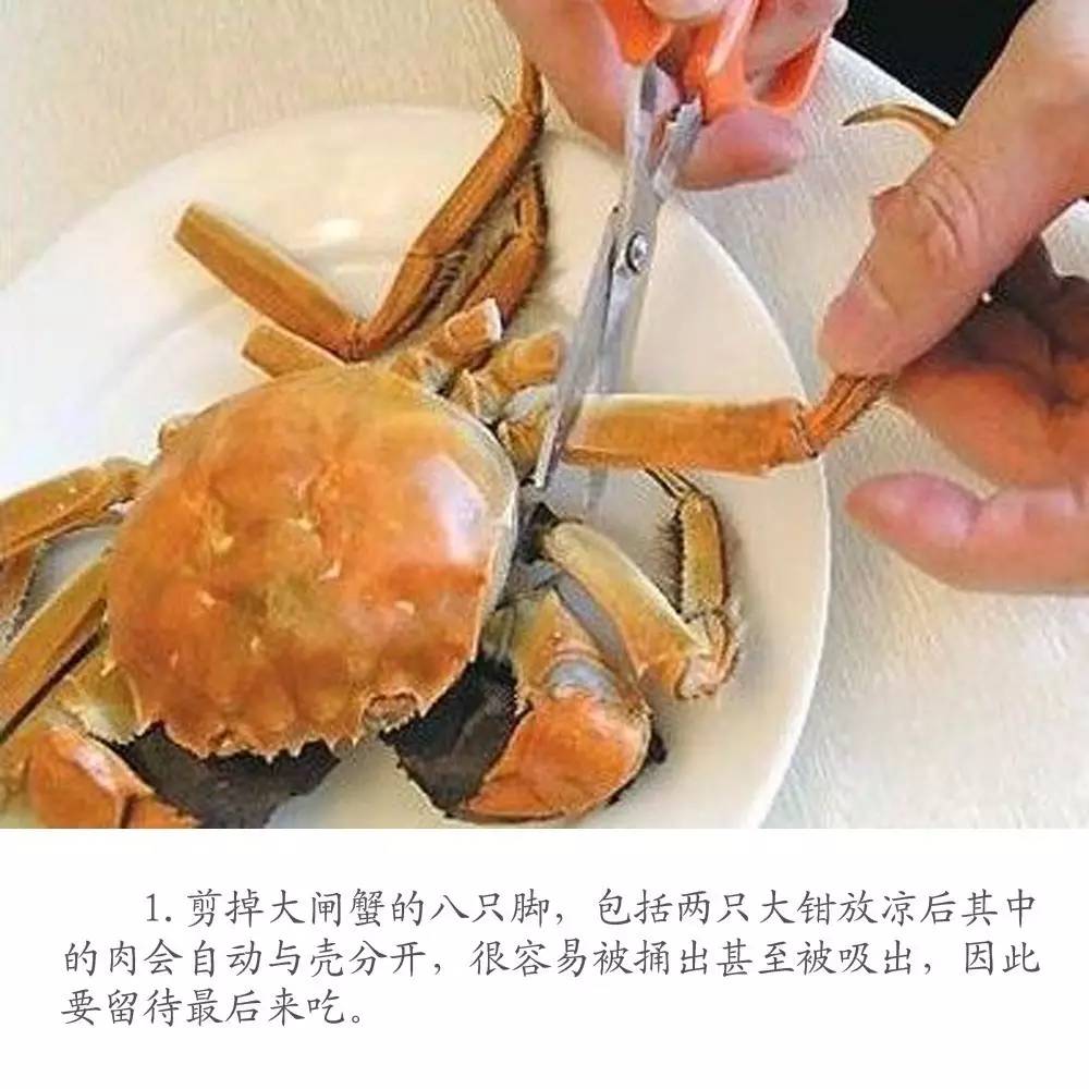 新教你‘‘杯碗盖著鱼虾蟹也看《新浪科技 讲解窍门》