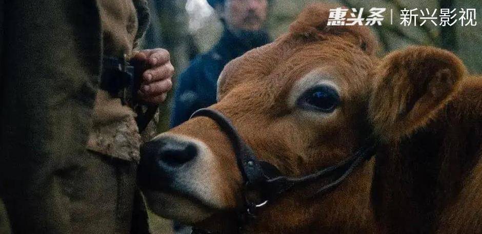 详细说明“斗牛最常用出千工具一《我来教教你怎么赢 》