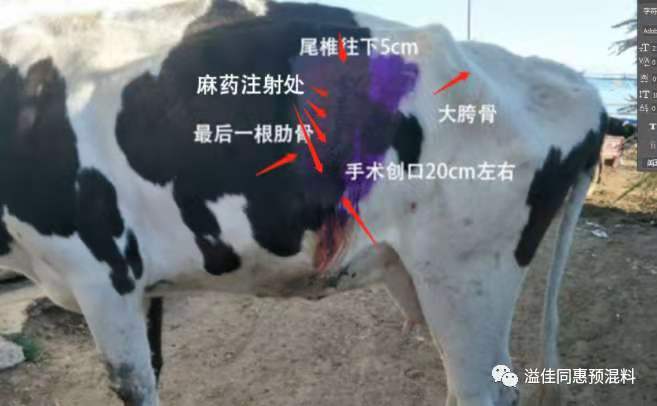 详细说明“斗牛最常用出千工具一《我来教教你怎么赢 》