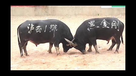 三分钟了解&quot;筒子斗牛新道具仪器设备工具_《爱问知识人 使用说明》