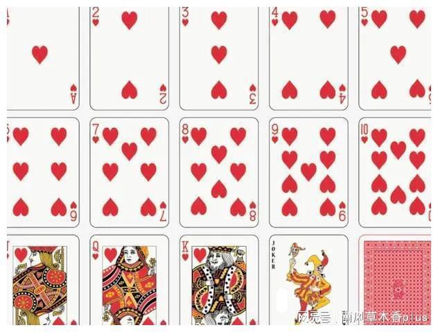 教程辅助“扑克牌打斗牛先进仪器一《我来教教你怎么赢 》