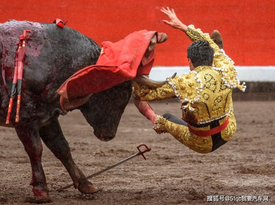 我来教教大家“玩斗牛有什么办法可以搞《详细教程 新浪科技》