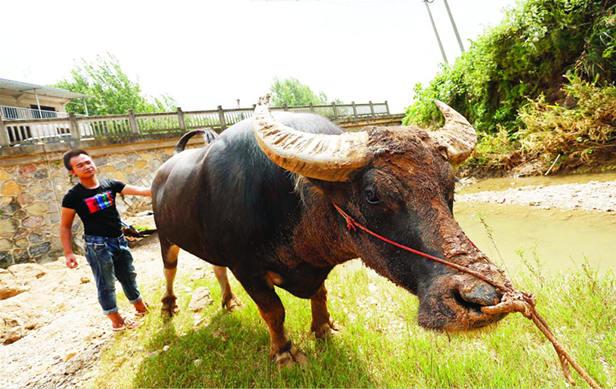 我来教教大家“玩斗牛有什么办法可以搞《详细教程 新浪科技》