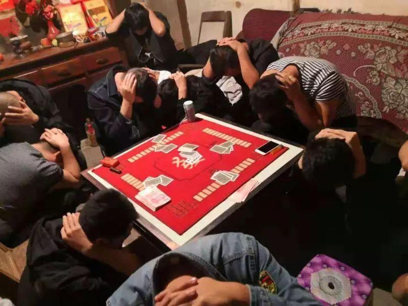 优选推荐“普通扑克牌斗牛新产品《新浪科技 讲解窍门》