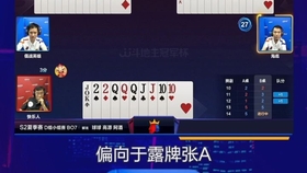玩家必备攻略“高手是怎么金花的_《爱问知识人 使用说明》