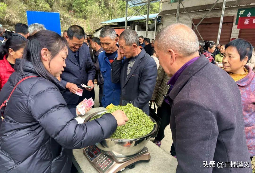 实测分享“最实用的张牌扎金花最好的闷牌规律 —详细解说+新浪科技