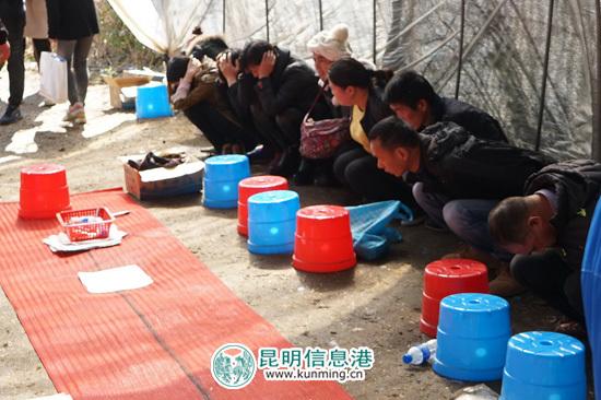 「热点资讯」怎么才能看穿碗里色子单双 —详细解说+新浪科技